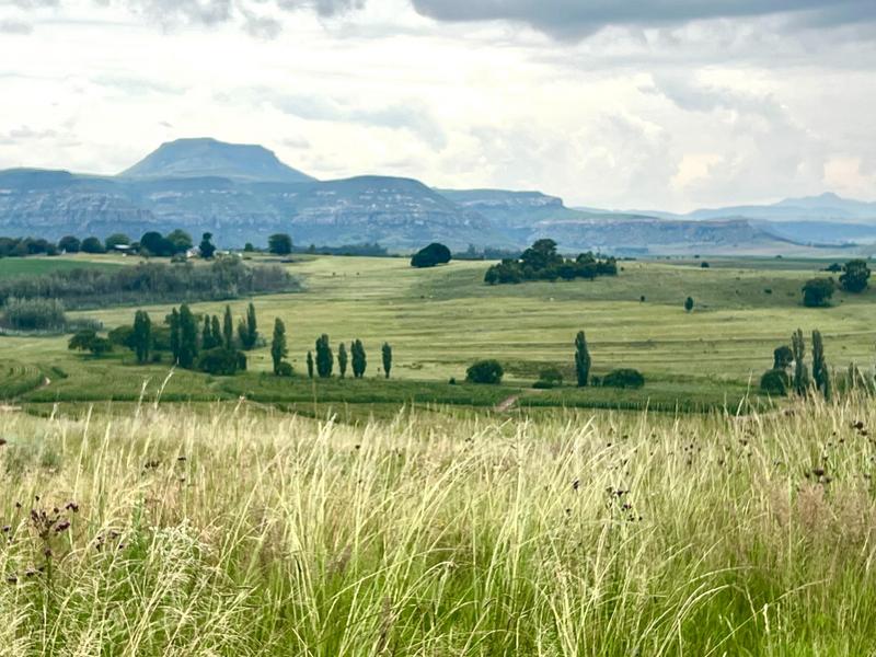 4 Bedroom Property for Sale in Fouriesburg Free State